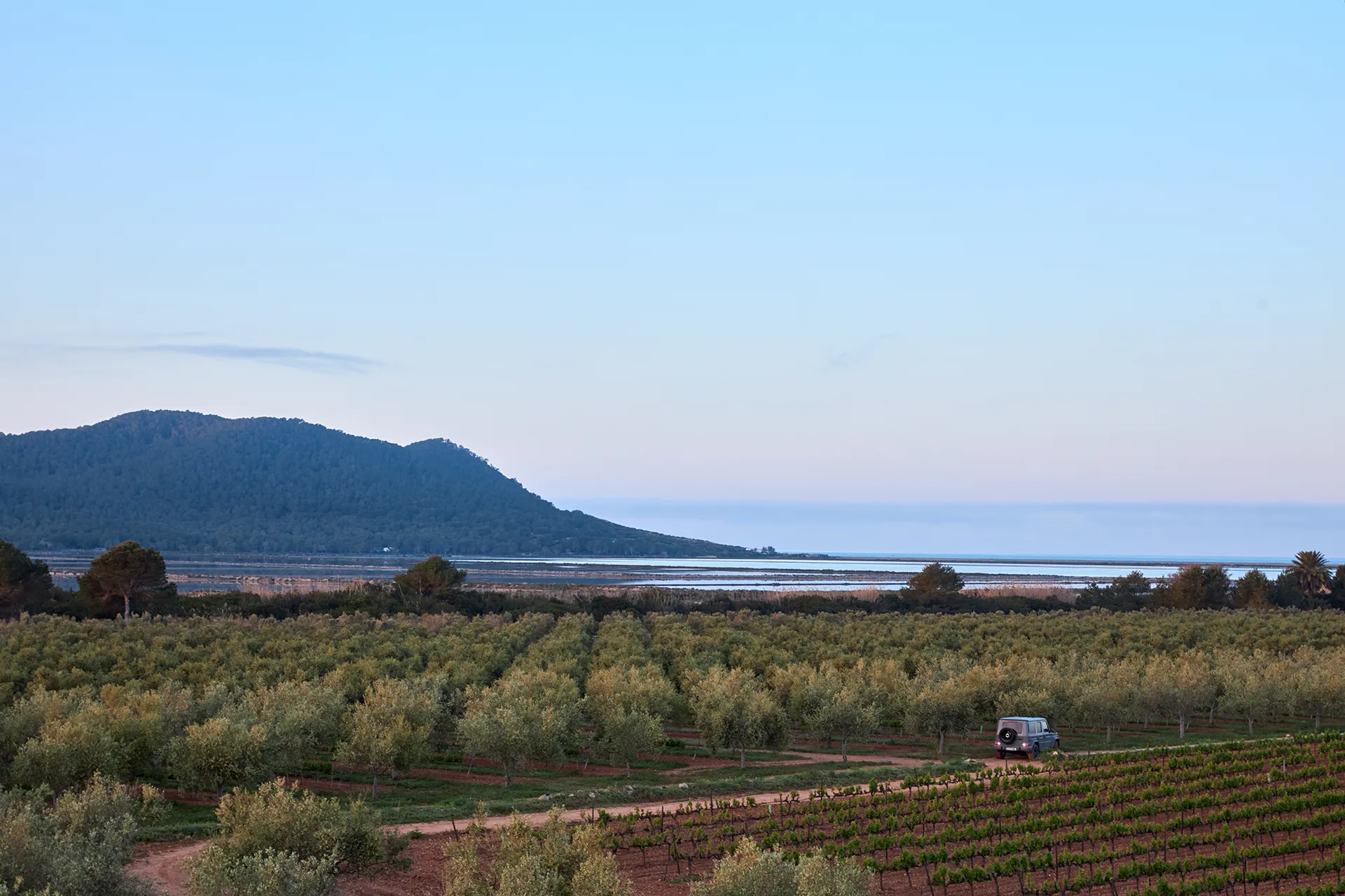 Bodegas Can Rich (2)