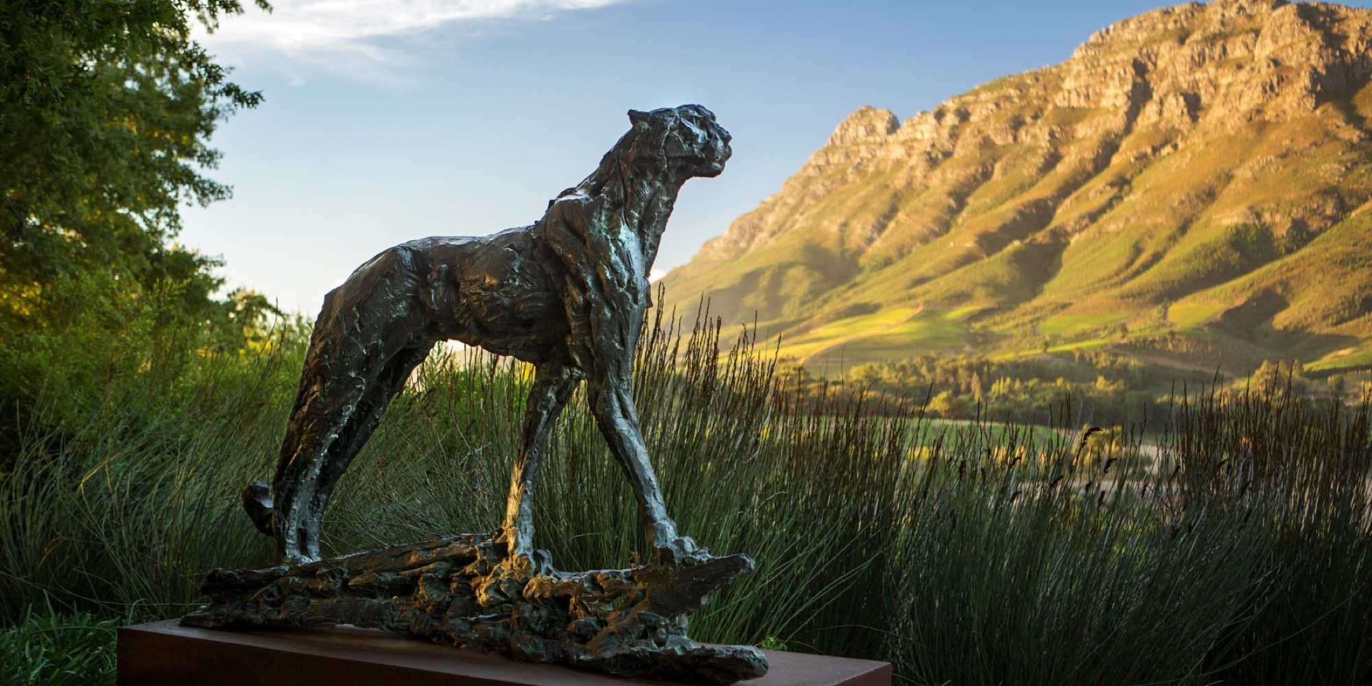 Delaire Graff Estate (3)