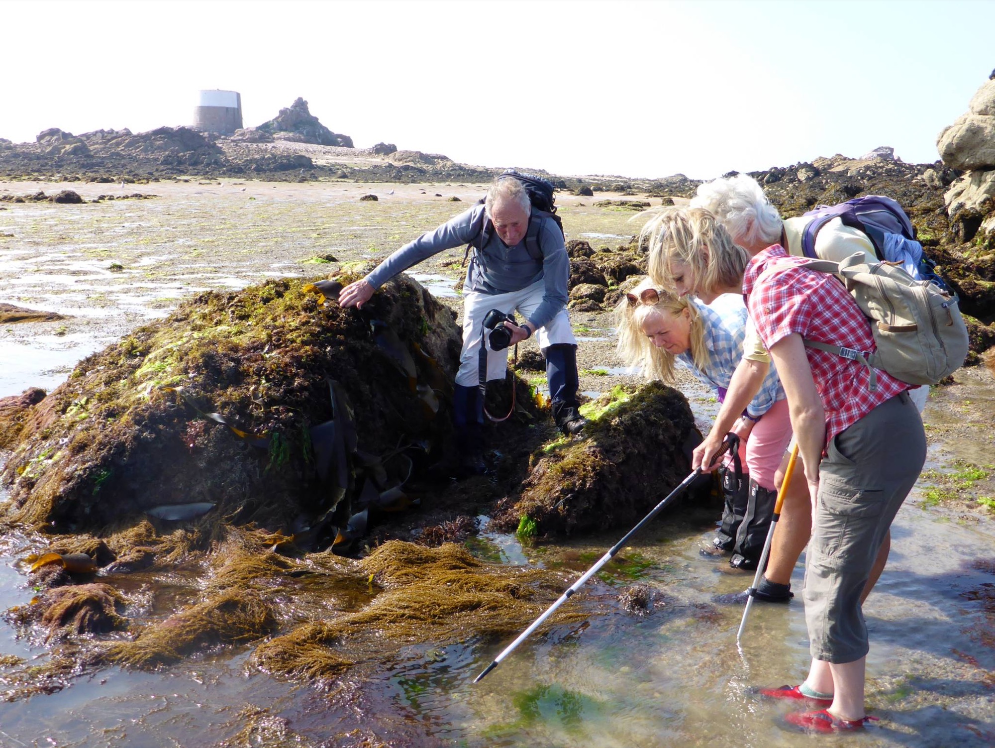 Jersey Walk Adventures (2)