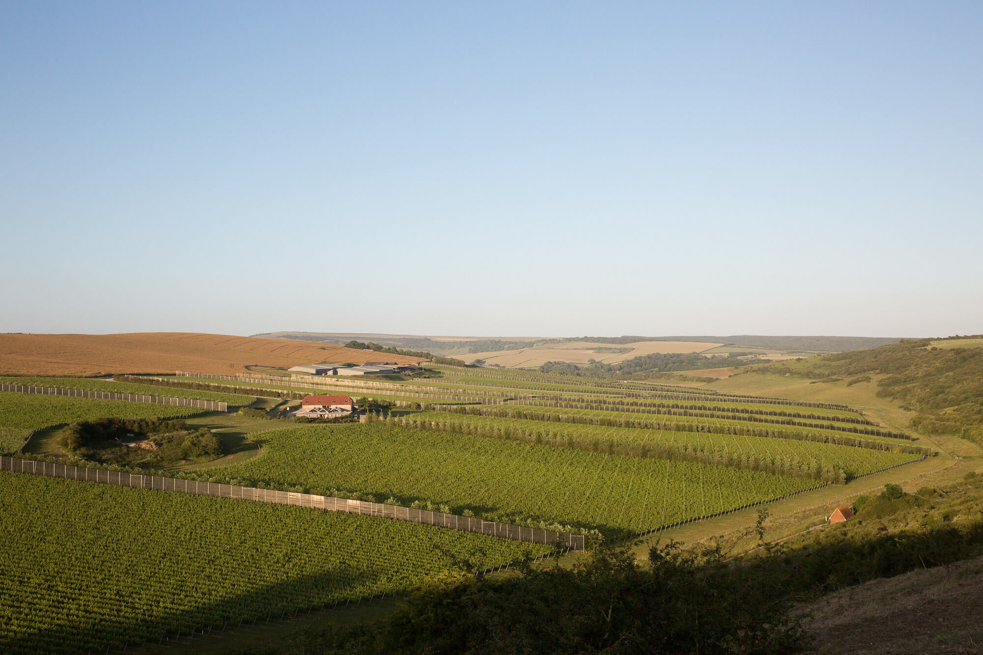 Rathfinny Wine Estate