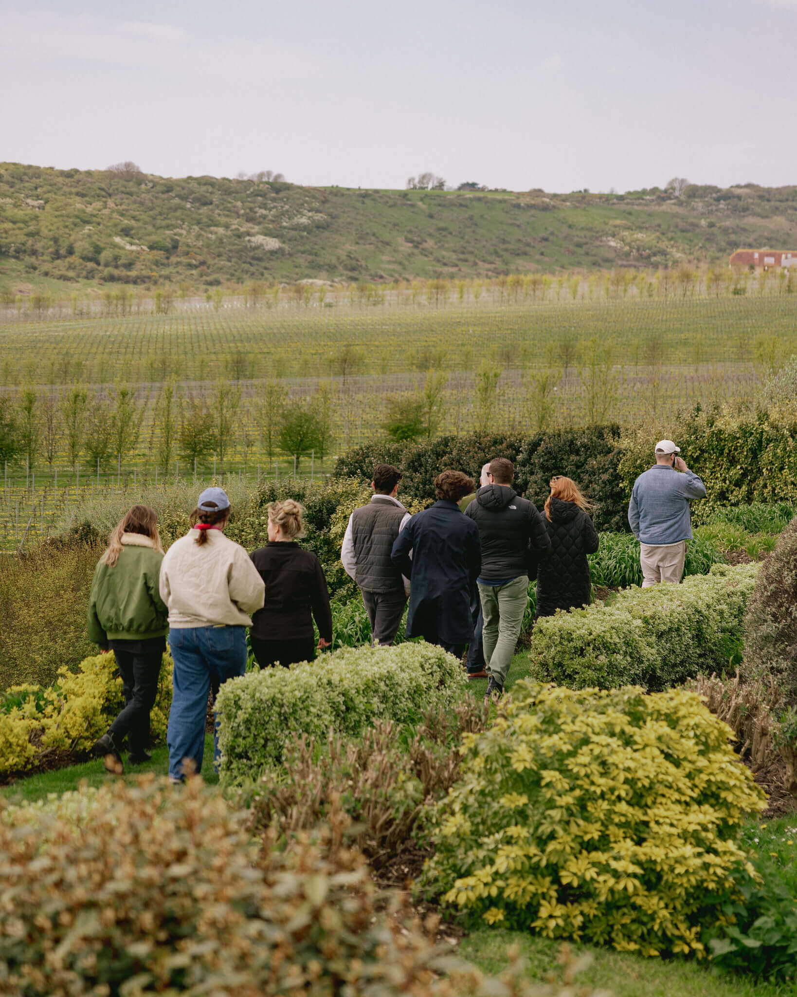Rathfinny Wine Estate (2)