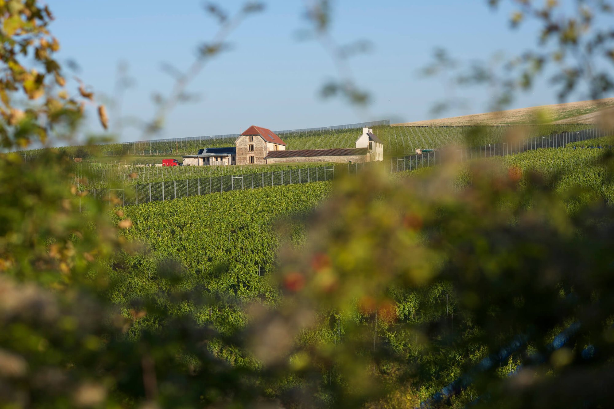 Rathfinny Wine Estate (3)