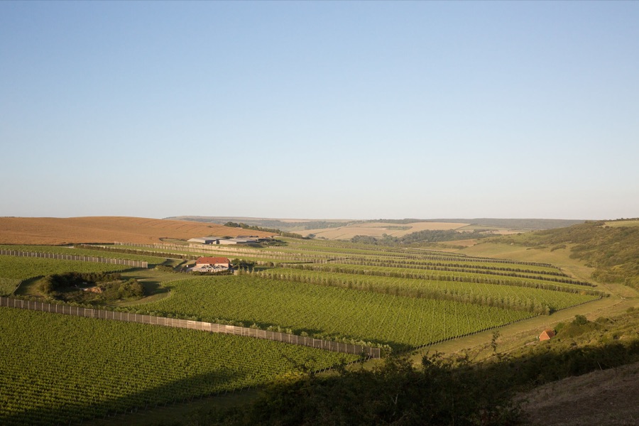 Rathfinny Wine Estate
