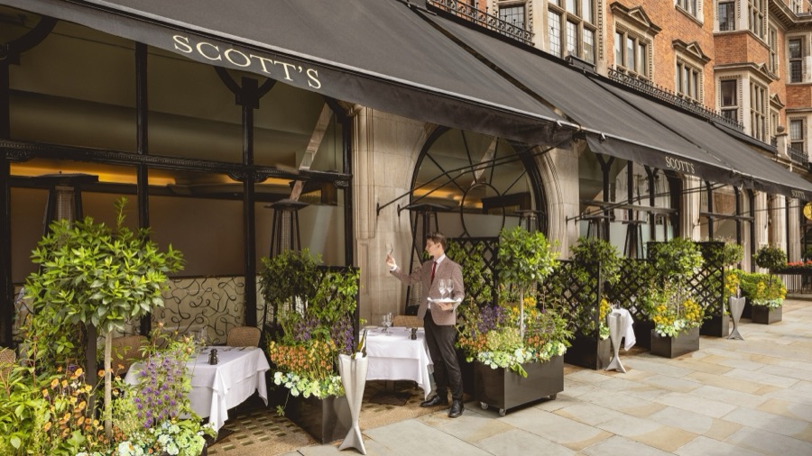 Scott's